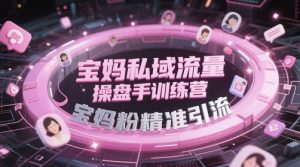 宝妈私域流量操盘手训练营,宝妈粉精准引流-rose网创