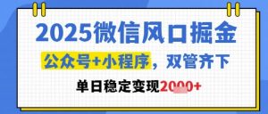 2025微信风口掘金，公众号+小程序双管齐下，单日稳定变现1k+【揭秘】-rose网创