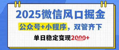 2025微信风口掘金，公众号+小程序双管齐下，单日稳定变现1k+【揭秘】-rose网创