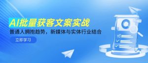 AI批量获客文案实战,普通人拥抱趋势,新媒体与实体行业结合-rose网创