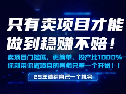 只有卖项目才能做到稳挣不赔,门槛低,更简单,你也可以年入百个W【揭秘】-rose网创
