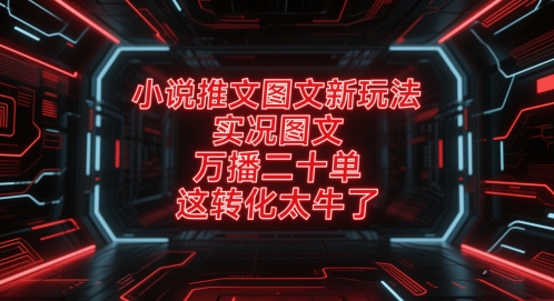 小说推文图文新玩法,实况图文,万播二十单,这转化太牛了!-rose网创