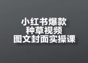 小红书爆款种草视频图文封面实操课,开店、选品、引流、变现全流程-rose网创