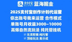 2025支付宝创作分成计划代运营,高爆自然流玩法,纯挂机高分成,合作共赢模式!-rose网创