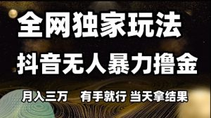 全网独家玩法抖音无人暴力撸金，月入3W，有手就行，当天拿结果【揭秘】-rose网创