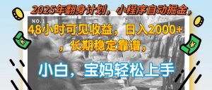 2025年翻身计划，小程序自动掘金48小时可见收益，日入2000+，长期稳定...-rose网创