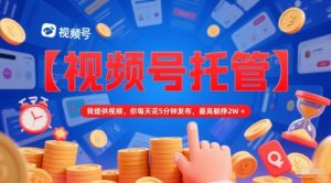 【视频号托管 】我提供视频,你每天花5分钟发布,最高躺挣2W+【揭秘】-rose网创