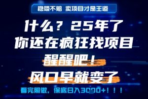什么？25年你还在疯狂找项目做，醒醒吧，看完这些你全都懂了！【揭秘】-rose网创