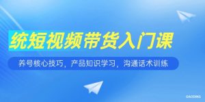 短视频带货入门课，养号核心技巧，产品知识学习，沟通话术训练-rose网创