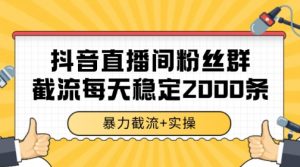 抖音直播间粉丝群暴力截流，一台电脑每天稳定2000条数据【揭秘】-rose网创