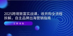 2025跨境致富实战课,收并购全流程拆解,自主品牌出海营销指南-rose网创