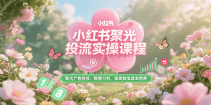 小红书聚光投流实操课程，聚光广告投放、数据分析、做高效低成本获客-rose网创