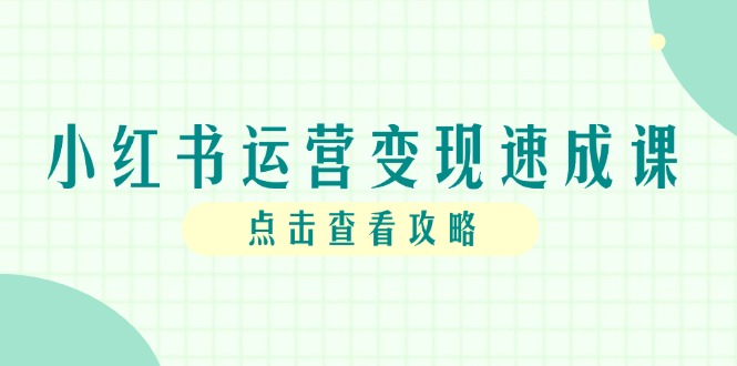 小红书运营变现速成课,账号搭建到暴力起号,个人IP全流程指南-rose网创