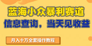 蓝海小众暴利赛道，信息查询，当天见收益，不讲玄学，7天搞了2万+-rose网创