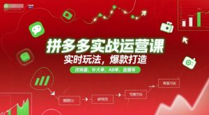 拼多多实战运营课,实时玩法,爆款打造,改销量,补大单,AB单,直播等(更新2025月)-rose网创
