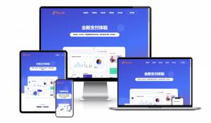 2025彩虹易支付前端新模板美化版-rose网创