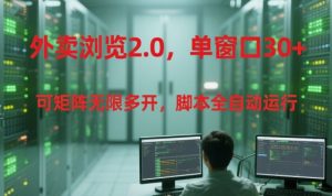 外卖浏览2.0,单窗口30+可矩阵无限多开,脚本全自动运行【揭秘】-rose网创