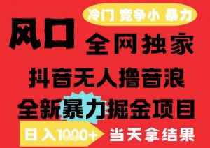 25年6月高爆抖音无人直播最新撸音浪掘金项目，解放双手小白可做，无脑日入1k+，门槛低【揭秘】-rose网创