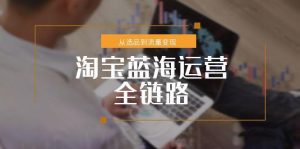 淘宝蓝海运营全链路,从选品到流量变现,小类目突围完整方案-rose网创