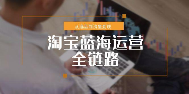 淘宝蓝海运营全链路,从选品到流量变现,小类目突围完整方案-rose网创