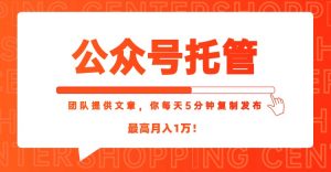 【公众号托管 】我提供文章,你每天5分钟复制发布,最高月入1W-rose网创