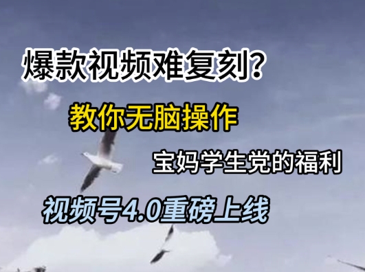 视频号4.0重磅上线，爆款视频难复刻？教你无脑操作宝妈学生党的福利【揭秘】-rose网创