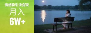 情感粉引流变现实操课：单月变现6w+，情感粉引流变现实操课-rose网创