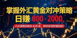 掌握外汇黄金对冲策略，日赚 800 - 2000，小众高回报创业机会，助你实...-rose网创