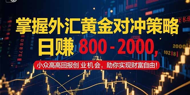 掌握外汇黄金对冲策略，日赚 800 – 2000，小众高回报创业机会，助你实…-rose网创