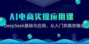 AI电商实操应用课：DeepSeek基础与应用，从入门到高效输出-rose网创