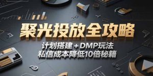 2025小红书聚光投放全攻略,计划搭建+DMP玩法,私信成本降低10倍秘籍-rose网创