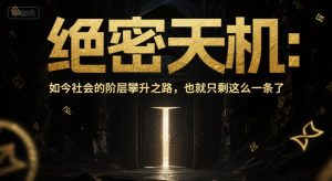 付费文章:绝密天机:如今社会的阶层攀升之路,也就只剩这么一条了-rose网创