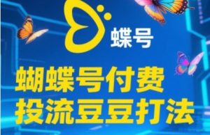 2025蝴蝶号付费投流豆豆打法,助新手快速掌握付费流量撬动自然流的核心玩法-rose网创