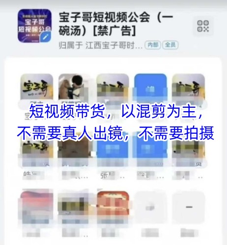 宝子哥头部团队短视频带货,以混剪为主,不需要真人出镜,不需要拍摄【更新6月】-rose网创