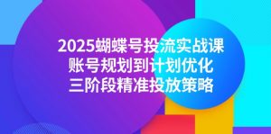 2025蝴蝶号投流实战课,账号规划到计划优化,三阶段精准投放策略-rose网创