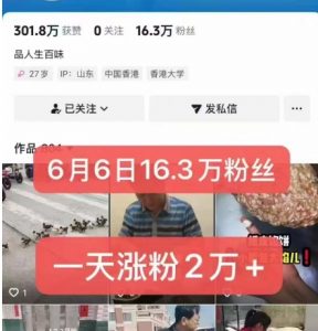 外面卖5000最新抖音搬运涨粉技术，新玩法，一分钟一条，一天涨粉2W，苹果安卓都可用-rose网创