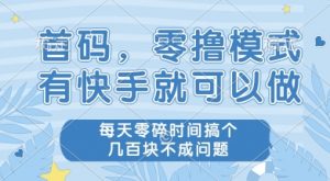 首码零撸项目，有快手就可以做，每天业务时间搞个几张不是问题【揭秘】-rose网创