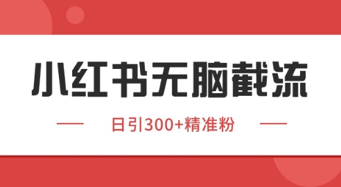 小红书截流同行客源,独家野路子获客玩法 日引200+暴力获客【揭秘】-rose网创