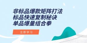非标品爆款矩阵打法,标品快速复制秘诀,单品爆量组合拳-rose网创