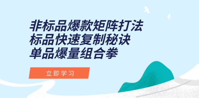 非标品爆款矩阵打法,标品快速复制秘诀,单品爆量组合拳-rose网创