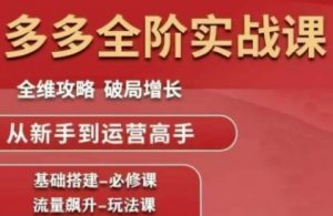 拼多多全阶实战课程,全维攻略,破局增长,从新手到运营高手-rose网创
