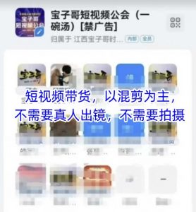宝子哥头部团队短视频带货，以混剪为主，不需要真人出镜，不需要拍摄【更新】-rose网创