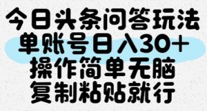 今日头条问答玩法,单账号日入30+,操作简单无脑复制粘贴就行-rose网创