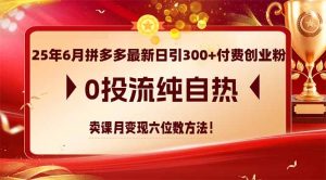 25年6月拼多多最新日引300+付费创业粉,0投流纯自热 卖课月变现六位数方法-rose网创