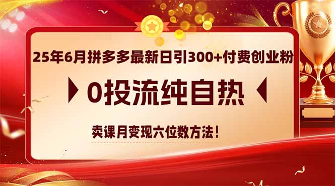 25年6月拼多多最新日引300+付费创业粉,0投流纯自热 卖课月变现六位数方法-rose网创