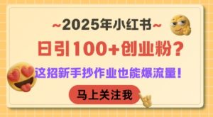 2025年小红书日引100+创业粉?这招新手抄作业也能爆流量!-rose网创