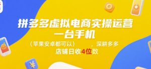 拼多多虚拟电商实操运营,一台手机(苹果安卓都可以),深耕多多店铺日收4位数-rose网创