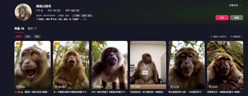 最新爆火的峨眉山猴子短视频制作教程,条条点赞10w+,谁做谁火【教程+提示词】-rose网创