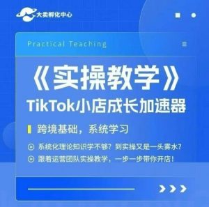 大卖家孵化中心TikTok实操课,TikTok小店成长加速器,跨境基础系统学习,一步一步带你开店-rose网创