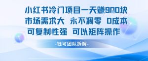小红书冷门项目一天收益9张，市场需求大，0成本，可复制性强可以矩阵操作-rose网创
